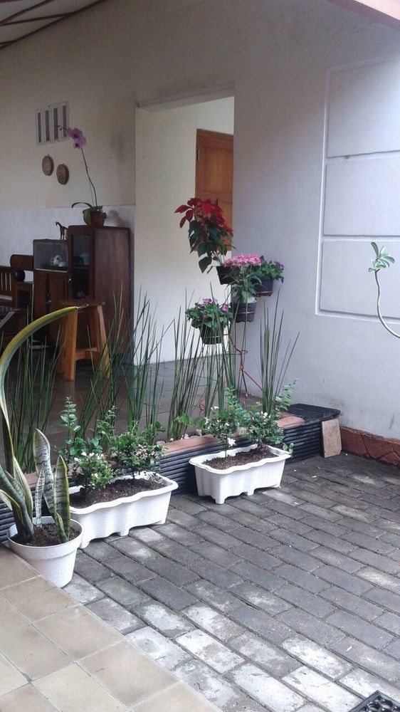 Homestay Pamularsih *